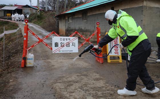 포천 농장 아프리카돼지열병…인접 8개 시·군 '이동중지'