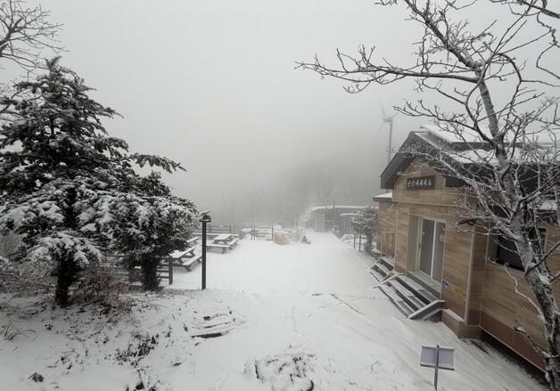 올겨울 첫 대설특보 발효…서해안·제주 중심 최대 17㎝ 눈 쌓여(종합)