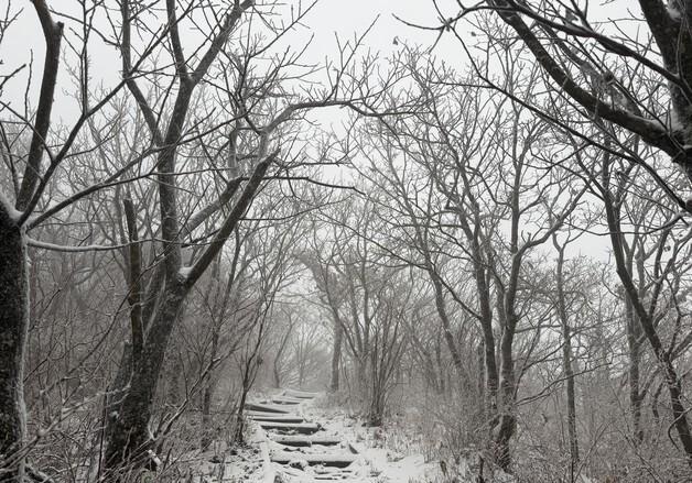 군산·부안·고창 대설주의보…김제·정읍·순창 예비특보