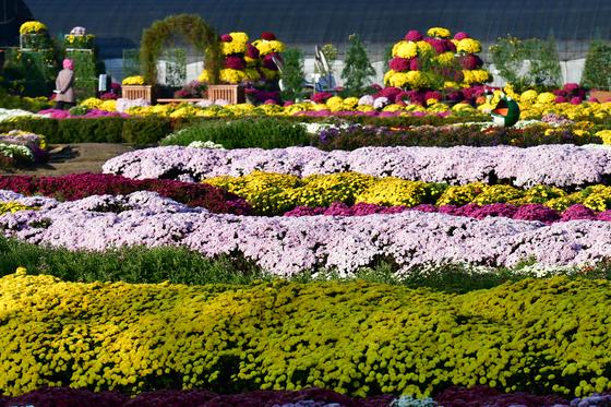 [오늘의 날씨] 대구·경북(6일,목)…맑고 낮 최고 19~21도 '포근'