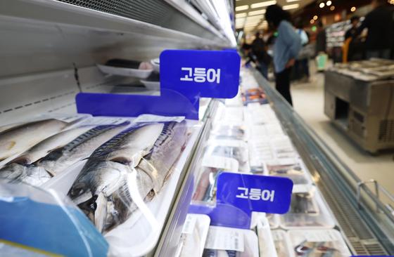 고등어 13%·갈치 11% 고환율에 수산물 가격 14년만 최고…물가 상방압력↑