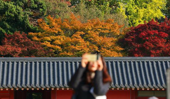 전국 구름 많고 내륙 짙은 안개…동해안 늦은 오후 가을비(종합)