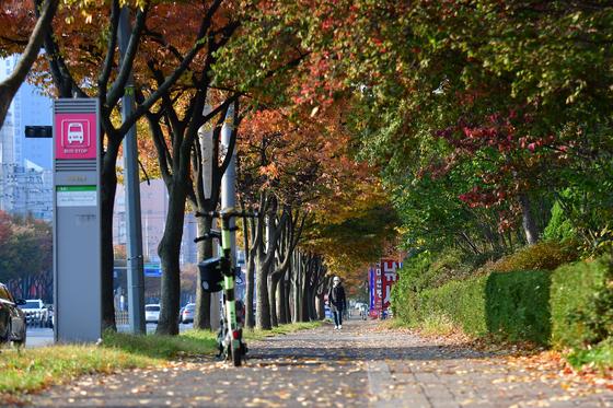 [오늘의 날씨]대구·경북(7일,금)…일교차 15도 안팎, 낮 18~20도