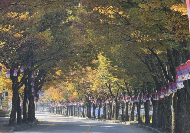 남원시 '도시바람길숲 조성사업' 공모 선정…200억 투입