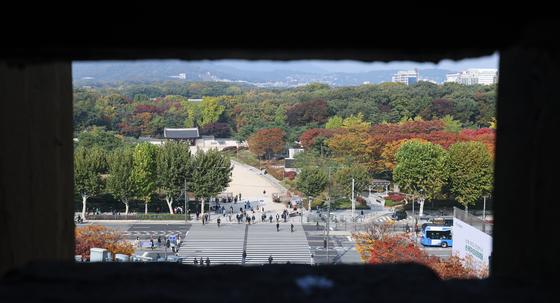 "종묘 하늘 가리지 말라"…29개 학계·협회, 고층 개발 '규탄'