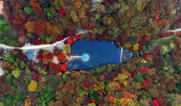 "붉게 물드는 정읍" 가을 명소 내장산 단풍…다음 주 절정