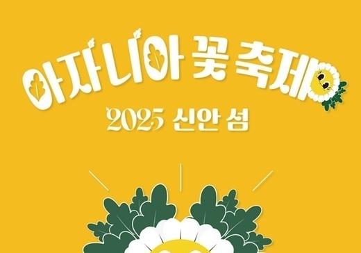 신안군, 14~23일 아자니아 꽃 축제…'꽃길 속 황금빛 행운'