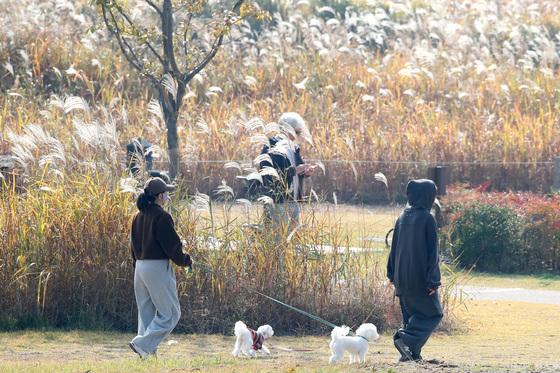 [오늘의 날씨] 대구·경북(8일,금)…흐리고 낮 최고 14~18도