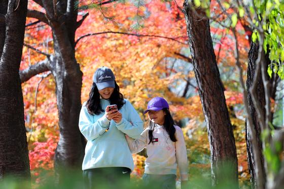 [뉴스1 PICK]가을의 절정…전국이 울긋불긋 물들다