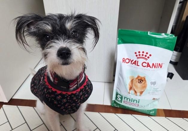 집 안에 갇힌 206마리…구조 후 회복 위해 로얄캐닌이 나섰다