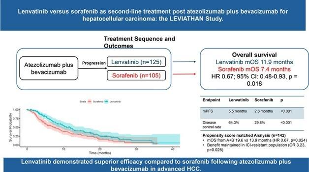 간세포암 2차 치료에 '렌바티닙' 우수성 입증…생존기간 연장 확인