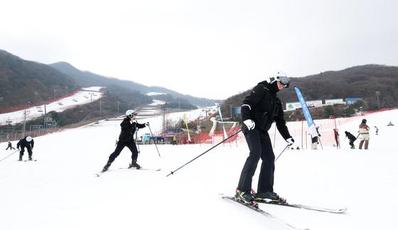 [뉴스1 PICK]겨울 만끽하는 스키어들