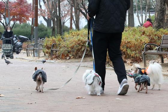 [오늘의 날씨] 전북(20일, 토)…흐리고 가끔 '비'