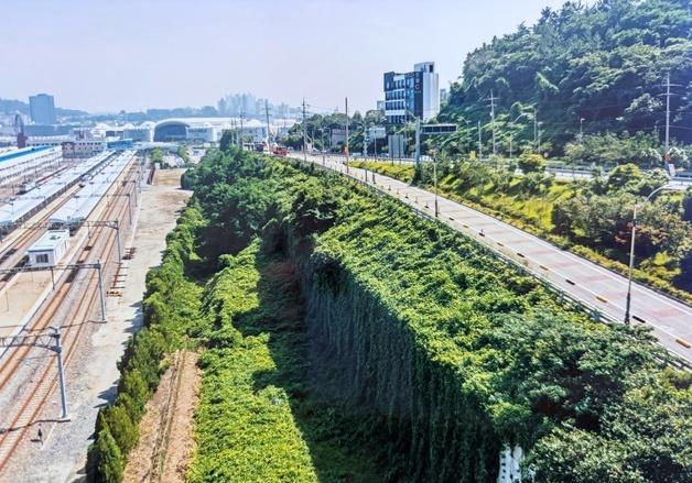 "호텔 지으려 땅 샀는데 국도 생겨 맹지 돼…여수시 20년 모르쇠"