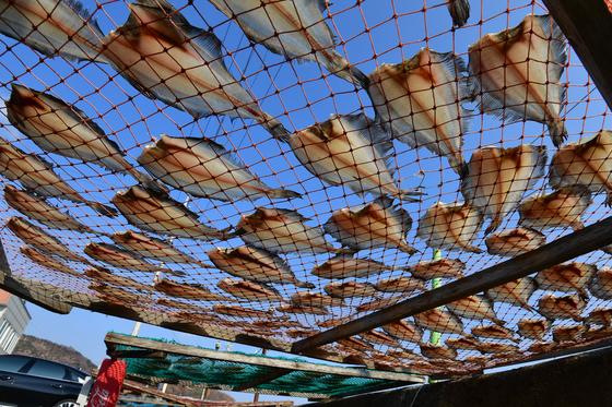 [오늘의 날씨]대구·경북(15일,월)…출근길 추위, 낮 5~10도