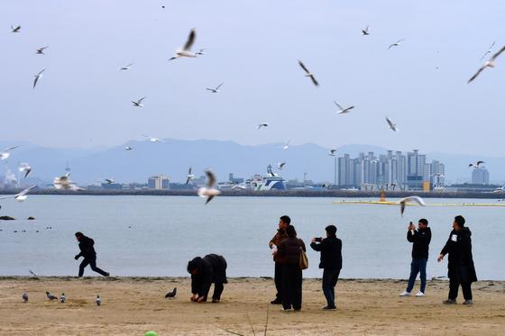 [오늘의 날씨] 대구·경북(17일,수)…흐리고 낮 최고 7~12도