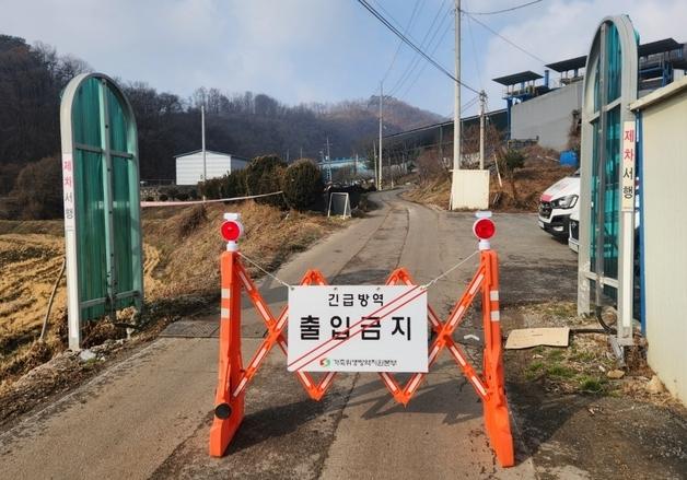 음성 산란계 농장서 H5형 AI 항원 검출…고병원성 검사