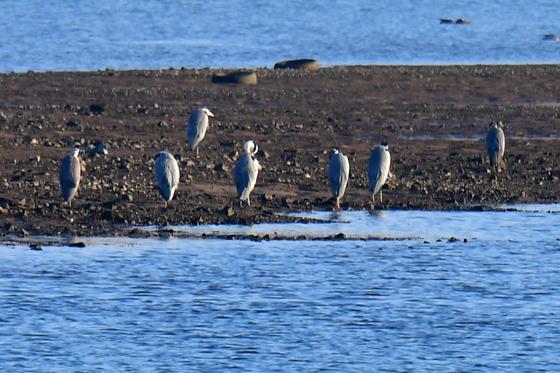 [오늘의 날씨]대구·경북(20일, 토)…곳곳 비, 낮 최고 10~19도