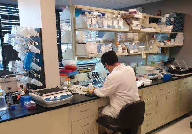 에스티큐브, '넬마스토바트' 대장암 1b상서 안전성·효능 확인