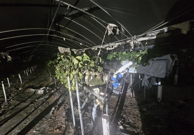 논산 관촉동 딸기 비닐하우스서 불…4600만원 피해