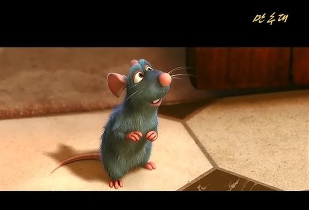 北 주민들, 당국 허락 없이도 픽사·디즈니 영화 시청 가능한 이유는?