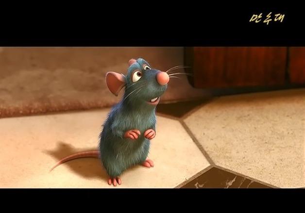 北 주민들, 당국 허락 없이도 픽사·디즈니 영화 시청 가능한 이유는?