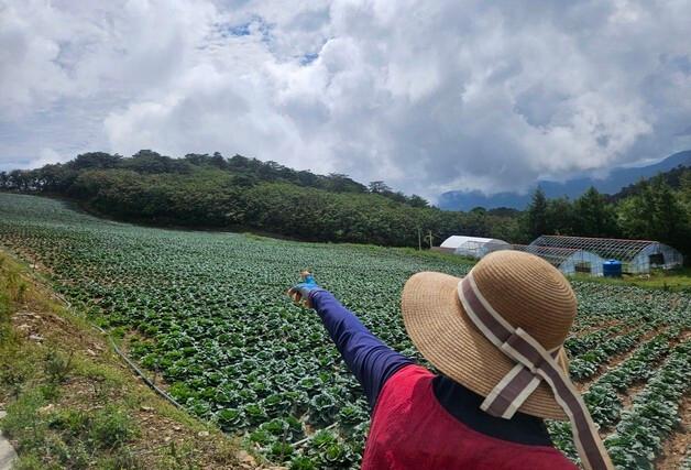163㏊ 가뭄 피해… 강릉시, 160개 농가에 4억 원 긴급 지급