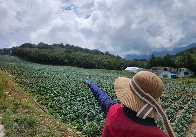163㏊ 가뭄 피해… 강릉시, 160개 농가에 4억 원 긴급 지급