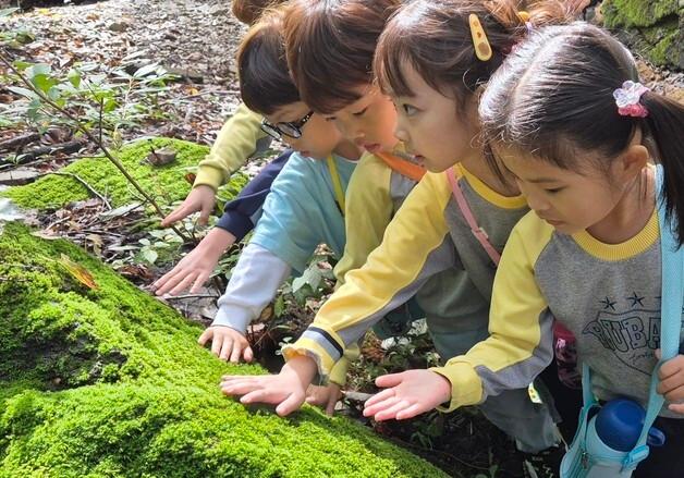 한국산림복지진흥원, 산림문화콘텐츠 ‘초록감각’ 카드 제작