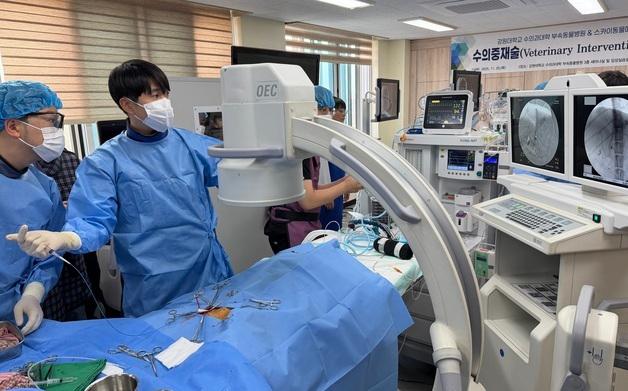 스카이동물메디컬그룹, 고난도 간색전술 실습…중재술 전문성 강화