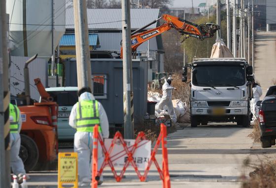 음성군 산란계 농장 고병원성 AI 확진…충북서 네번째