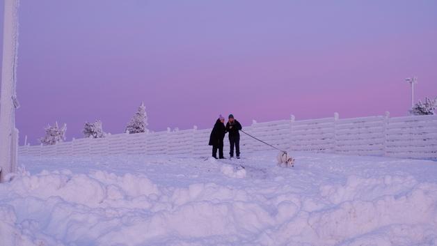 순록이 걷고 오로라가 깔렸네…화이트 크리스마스의 절정, 레비