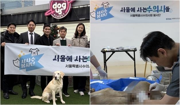 서울시수의사회, 번식장 구조견 의료봉사…"연말 따뜻한 손길"
