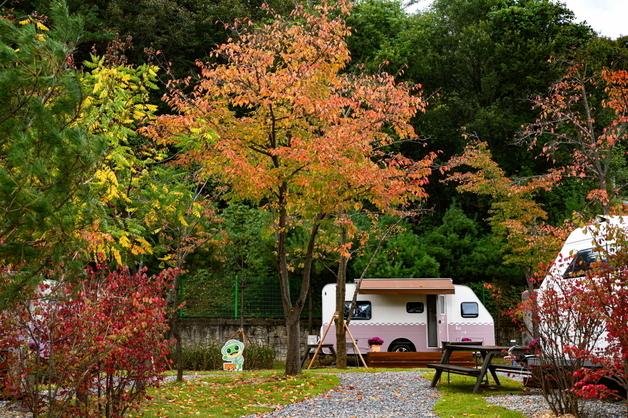 '소멸위기 지역 상생' 청량산 수원캠핑장, 시범 운영 이용률 94%