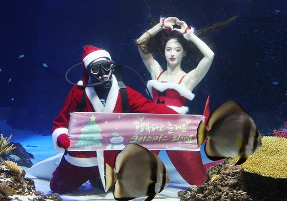 [뉴스1 PICK] 수중에서 전하는 "메리 크리스마스"