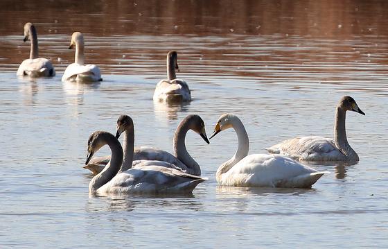 [오늘의 날씨] 부산·경남(23일, 화)…최저 -5도, 늦은 오후부터 비