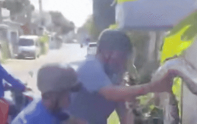 베트남 주택가 출몰 '4m 거대 비단뱀'…1시간 포획 소동