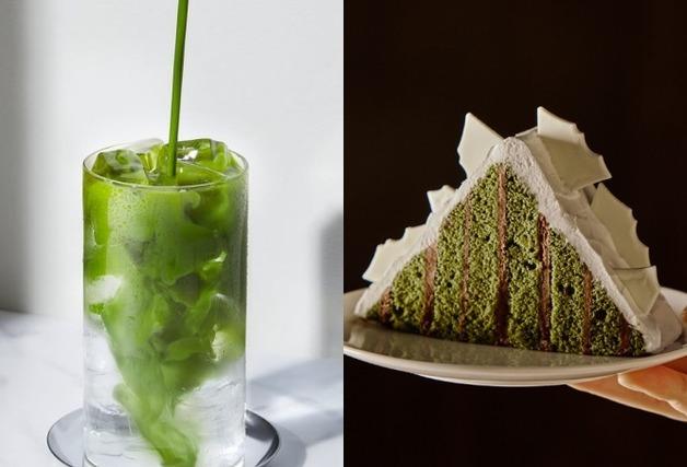 "없어서 못 팔아요"…제주산 말차 품귀에 식품업계 비상