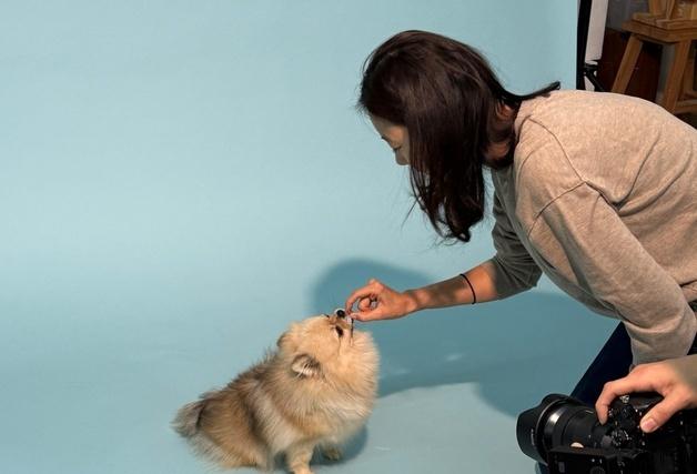 신제품 모델된 구조견, 새 가족 찾았다…네츄럴코어, 캠페인 성과