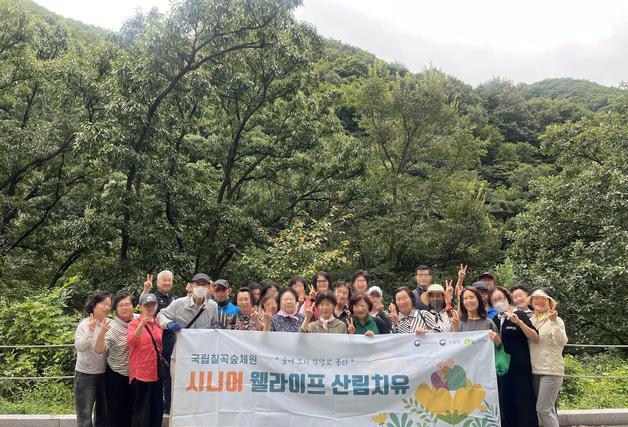 '후각 기반 산림치유' 기억감퇴·우울 완화에 긍정적 영향 확인