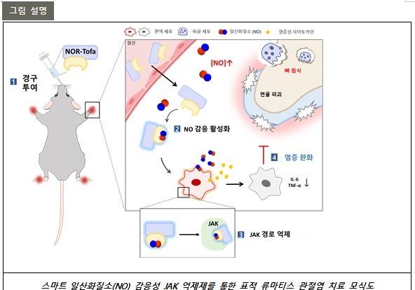 "아픈 곳에만 작용"…포스텍 연구팀, 류마티즘 관열염 새 치료제 개발