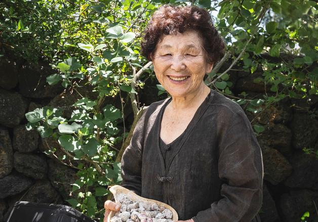 60여년간 '오합주' 빚은 김태자 씨, 제주향토음식장인 지정