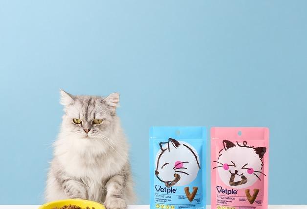 양치질 쉽지 않은 고양이 구강 동아제약 '벳플 브리트릿'으로 해결