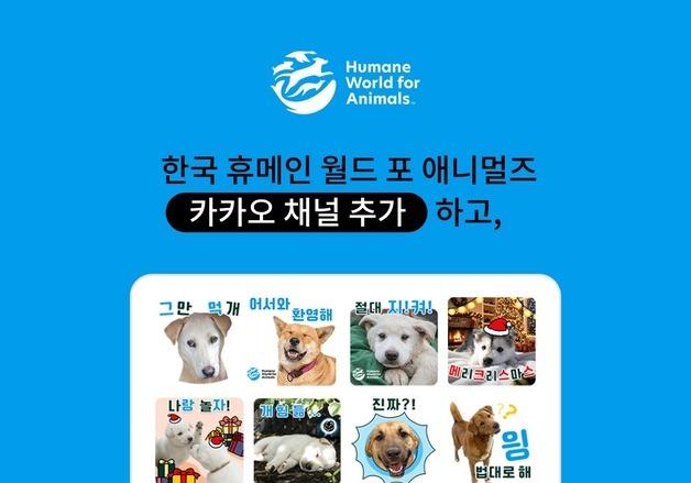 개 농장 구조견, 이모티콘으로 만난다…개식용 종식 메시지 전해