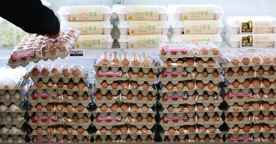 조류독감 확산세에 계란값 '묵직'