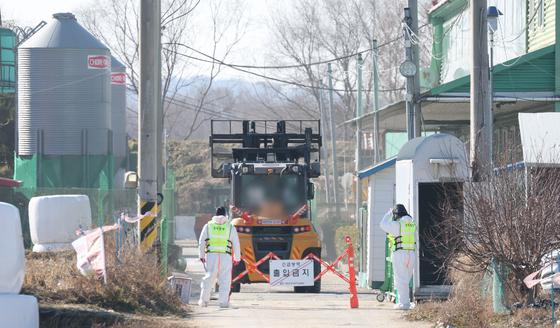 고병원성AI 발생 농장 70% '출입자 미소독'…"보상금 감액 등 엄정 조치"
