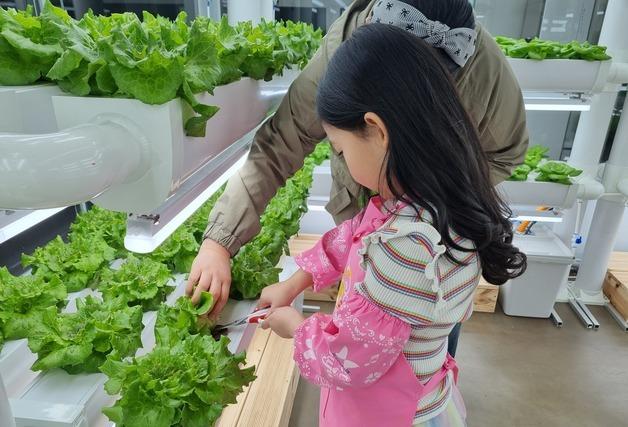 서울 한복판서 흙 한 줌 없이 상추가…도심형 스마트팜