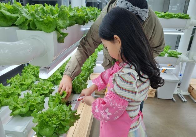 서울 한복판서 흙 한 줌 없이 상추가…도심형 스마트팜