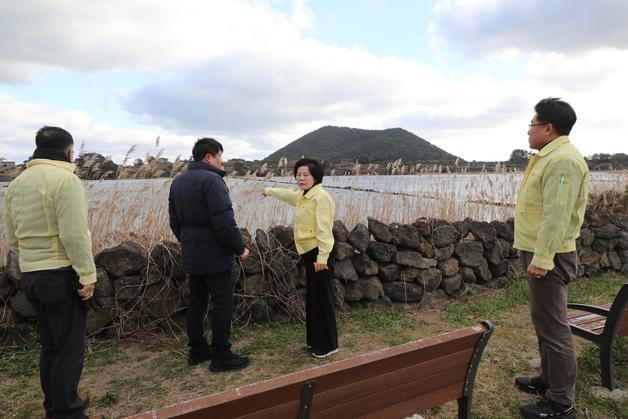 고병원성 AI 전국 확산…제주도, 선제 차단방역 강화