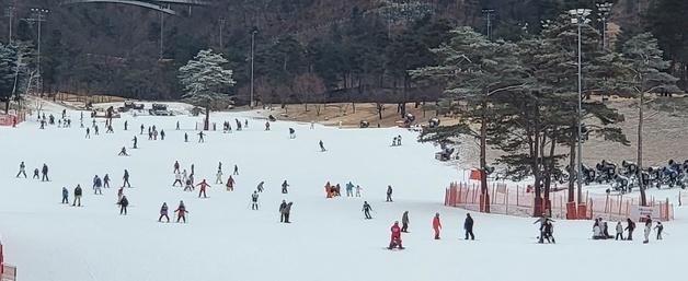 "추워도 탄다"…올해 마지막 주말, 강원 스키장마다 인파